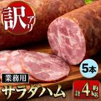 i1201-A サラダハム 約800g×5本
