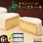カマンベールチーズケーキ 6個入