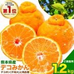 不知火 1.2kg
