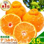 不知火 熊本 訳あり 3.5kg