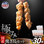 焼き鳥 極みの焼き鳥セット 30本