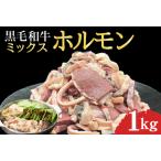 ふるさと納税 宮崎県産 ミックス ホルモン 500g×2P 計1kg（牛肉 肉 ホルモン 黒毛和牛 もつ鍋 焼肉 鍋） 宮崎県小林市