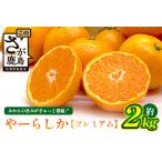 やーらしかみかん”プレミアム”約2kg