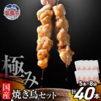 焼き鳥 極みの焼き鳥セット 40本
