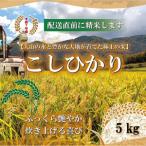 令和7年 山崎農園こしひかり無洗米5kg