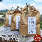 米 亀岡産きぬひかり 宮川神社米 3kg