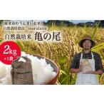 自然栽培農家 marufarm 自然栽培米
