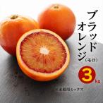 ブラッドオレンジ モロ 3kg