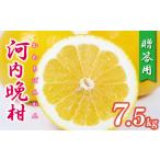 ふるさと納税 贈答用 �