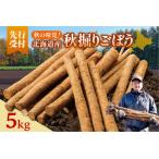 fu.... налог Hokkaido Tokachi Shimizu блок производство осень .. gobou 5kg[2026 год осень отправка предположительно ] корова . лопух Hokkaido Shimizu блок 