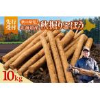 fu.... налог Hokkaido Tokachi Shimizu блок производство осень .. gobou 10kg[2026 год осень отправка предположительно ] корова . лопух Hokkaido Shimizu блок 