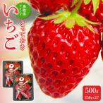 オリジナルブランドのいちご とっておき 計500g