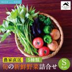 べじたぶるぱーくの旬の新鮮野菜詰合せ