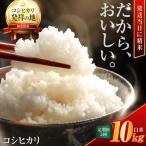 米10キロ こしひかり 精米 梅田東米穀店