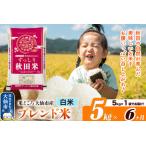 ふるさと納税 米《定期便6ヶ月》米どころ 秋田県大仙市産 ブレンド米【白米】5kg（5kg×1袋） 秋田県大仙市