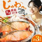 銀鮭 切り身 3kg