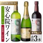 安心院ワイン スパークリングワイン白 750ml