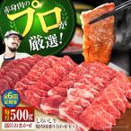 産しろいし牛 焼肉用 盛り合わせ セット 希少部位