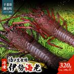 fu.... налог .. сырой еда для Исэ город море .( рефрижератор )320g(150~180g)×2 шт / ONJB001 Исэ город море . море . лангуст сырой еда для Chiba префектура .. блок 