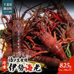 fu.... налог .. сырой еда для Исэ город море .( рефрижератор )825g(150~180g)×5 шт / ONJB014 Исэ город море . море . лангуст сырой еда для Chiba префектура .. блок 