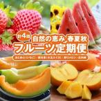 SE0506 自然の恵み 季節のフルーツ定期便2026