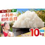 ヒノヒカリ 白米 10kg