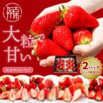 ★はたやのいちご 2Pセット