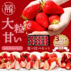 用いちご 3品種食べ比べセット 3パック入
