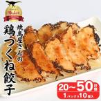 餃子 10個×2パック