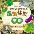 農業体験支援 不登校児童生徒 農園スタッフ参加
