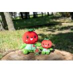 �ӂ邳�Ɣ[�� �ʂ������ �Ƃ܂���� �召���A�N�����X�^���h�Z�b�g | �ʂ������ �k�{�s�ό����� ��ʌ��k�{�s