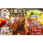 宇都宮牛ハンバーグ 150g×6ヶ入