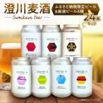 澄川麦酒 ビール12本+厳選12本 24本セット