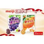 明治 果汁グミ マスカット 温州みかん 計 20袋