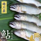 天然 落ち鮎 冷凍 1kg