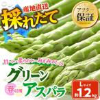 春収穫グリーンアスパラLサイズ 400g×3