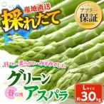 春収穫グリーンアスパラLサイズ 500g×6