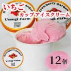 いちご農家のひんやりアイス カップアイス
