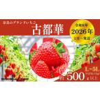 ふるさと納税 のぼるちゃんファームの古都華 いちご 約540g(270g×2パック) idm001 奈良県奈良市