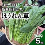 fu.... налог шпинат!....5kg [ культивирование 30 год и больше. гора внизу san. свежий .. длина шпинат ] SMCX001 Chiba префектура гора . город 