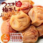 訳あり つぶれ 梅干し 500g×10パック