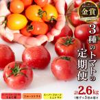 全3回 定期便 フルーツトマト 3種