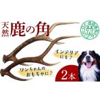シカの角 2本