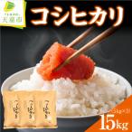 コシヒカリ 15kg