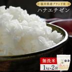 ハナエチゼン 精米 2kg