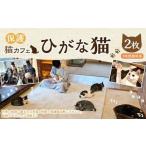 体験チケット 保護猫カフェひがな猫 1時間無料券 2枚