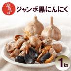竹内ファーム ジャンボ黒ニンニク 1kg