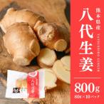 八代生姜80g×10パック 合計800g