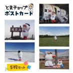 ポストカード 5枚セット T042-019