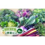 野菜セット 旬の野菜 詰め合わせ やさい